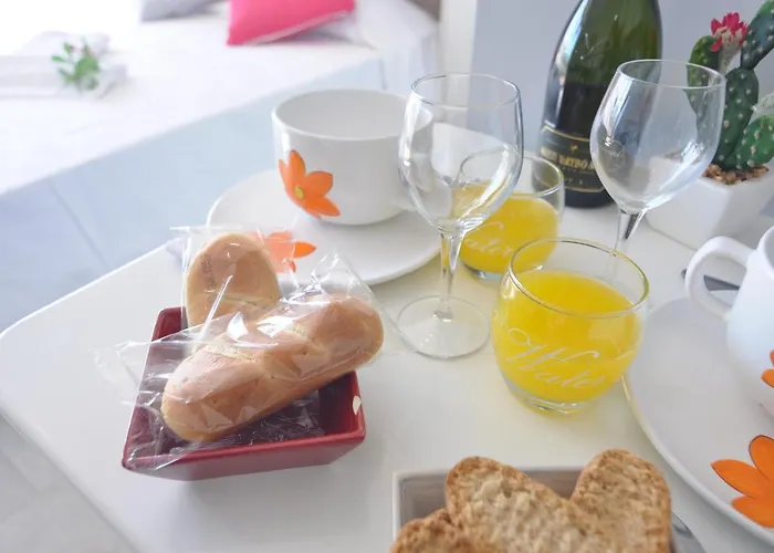 Rnet - Hort De Mar * Roses